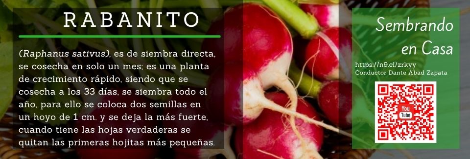 Diseño de infografia